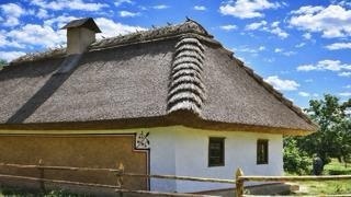 Будівництво очеретяного даху або солом'яної стріхи фото